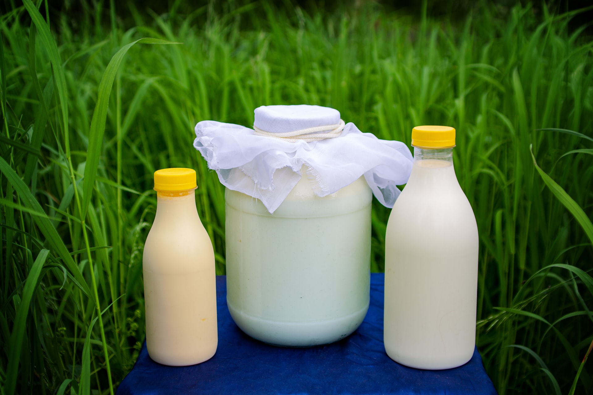 yıllara-göre-çiğ-süt-fiyatları-2011-2022-yılları-arası-cig-süt-fiyatları